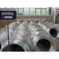 GSW Galvanized Steel Wire